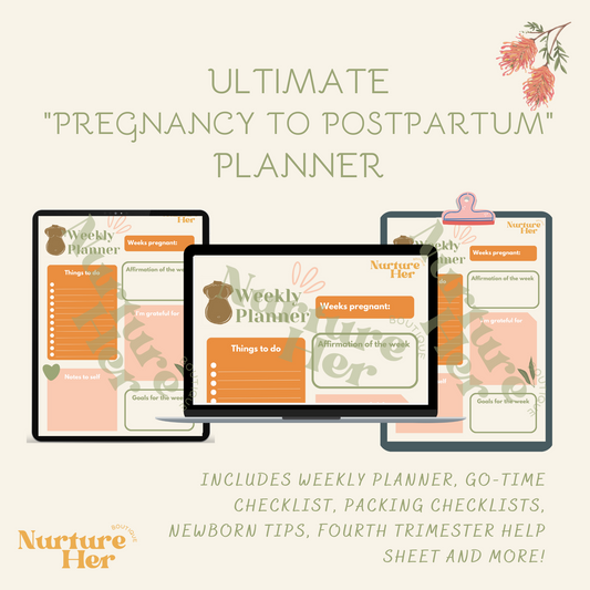 Pregnancy to Postpartum Planner (digital file only)