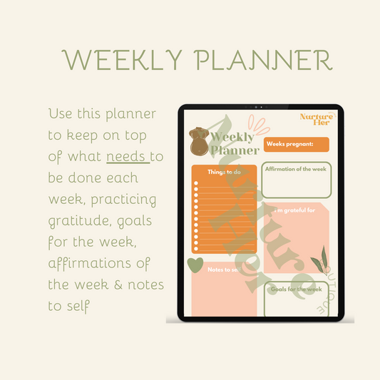 Pregnancy to Postpartum Planner (digital file only)