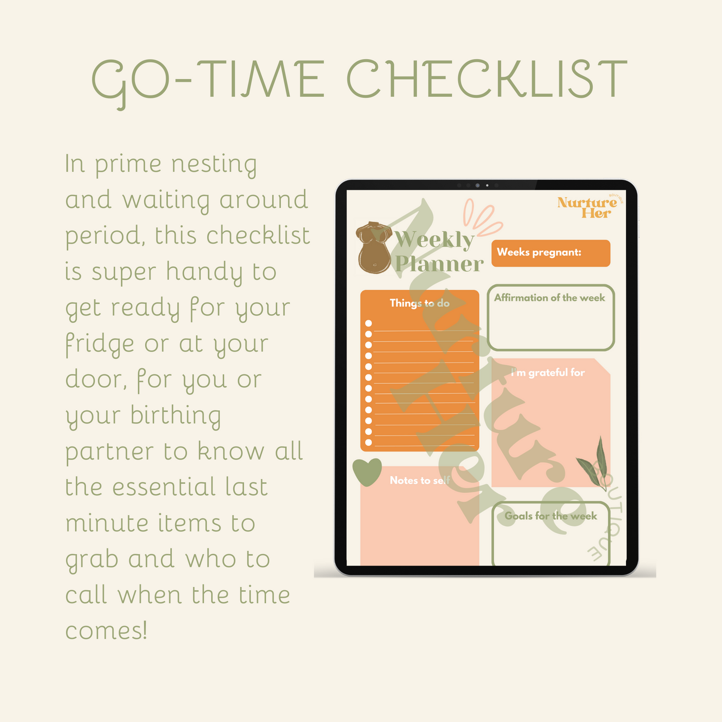 Pregnancy to Postpartum Planner (digital file only)